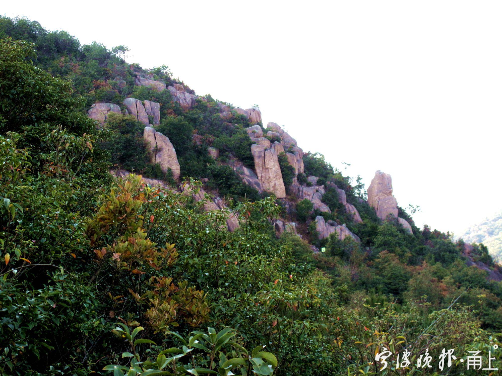 4—象山爵溪燕山水库虎穴山远眺图之二,怪石嶙峋又植被茂密.jpg