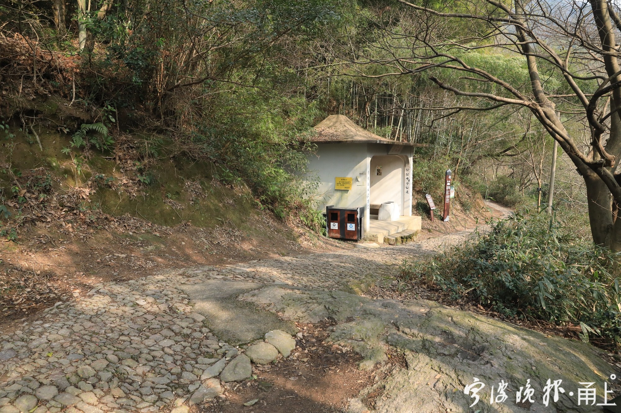 竹篱瓦舍|池上飞桥亭外山—寻找陈磬裁