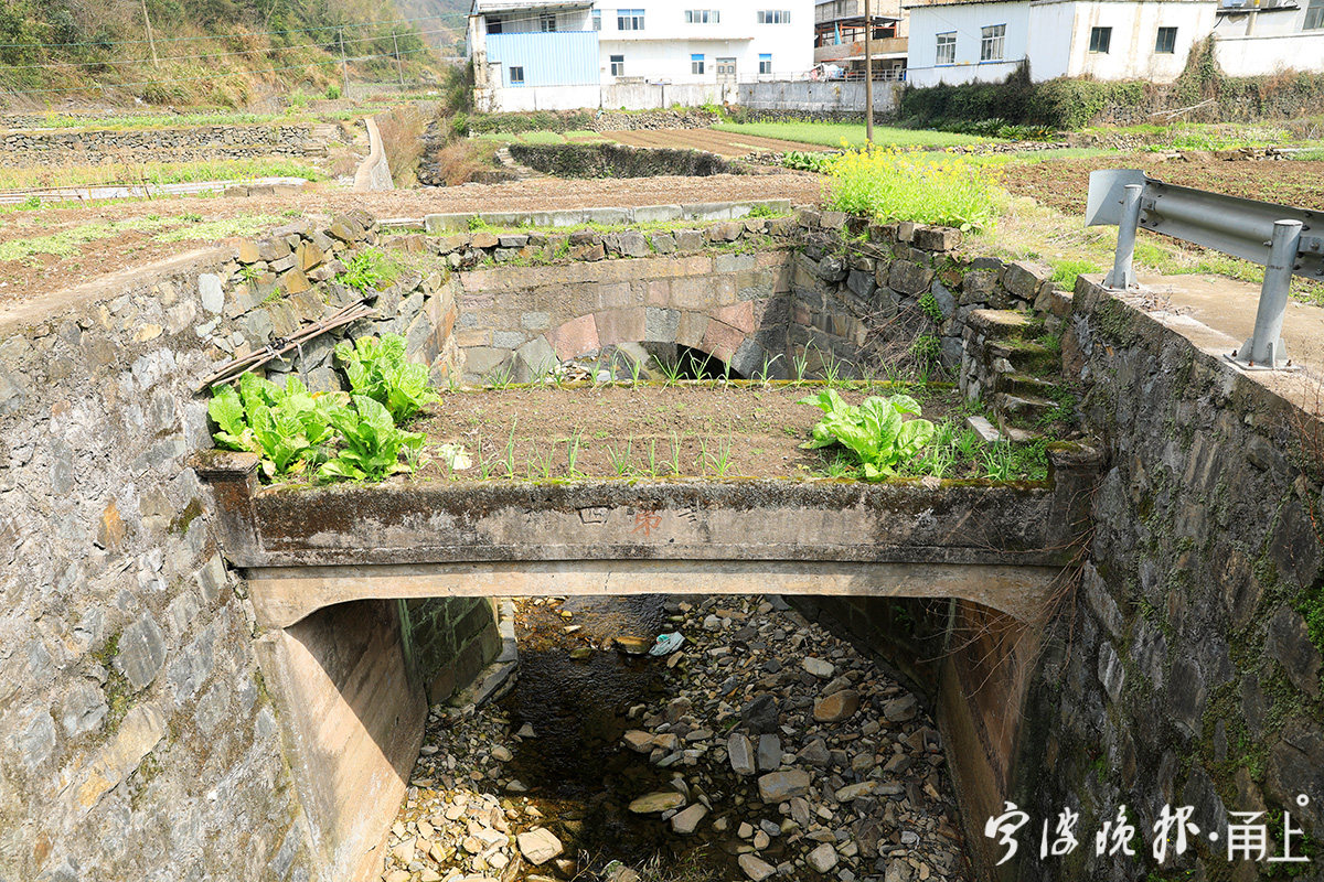 竹篱瓦舍|池上飞桥亭外山—寻找陈磬裁