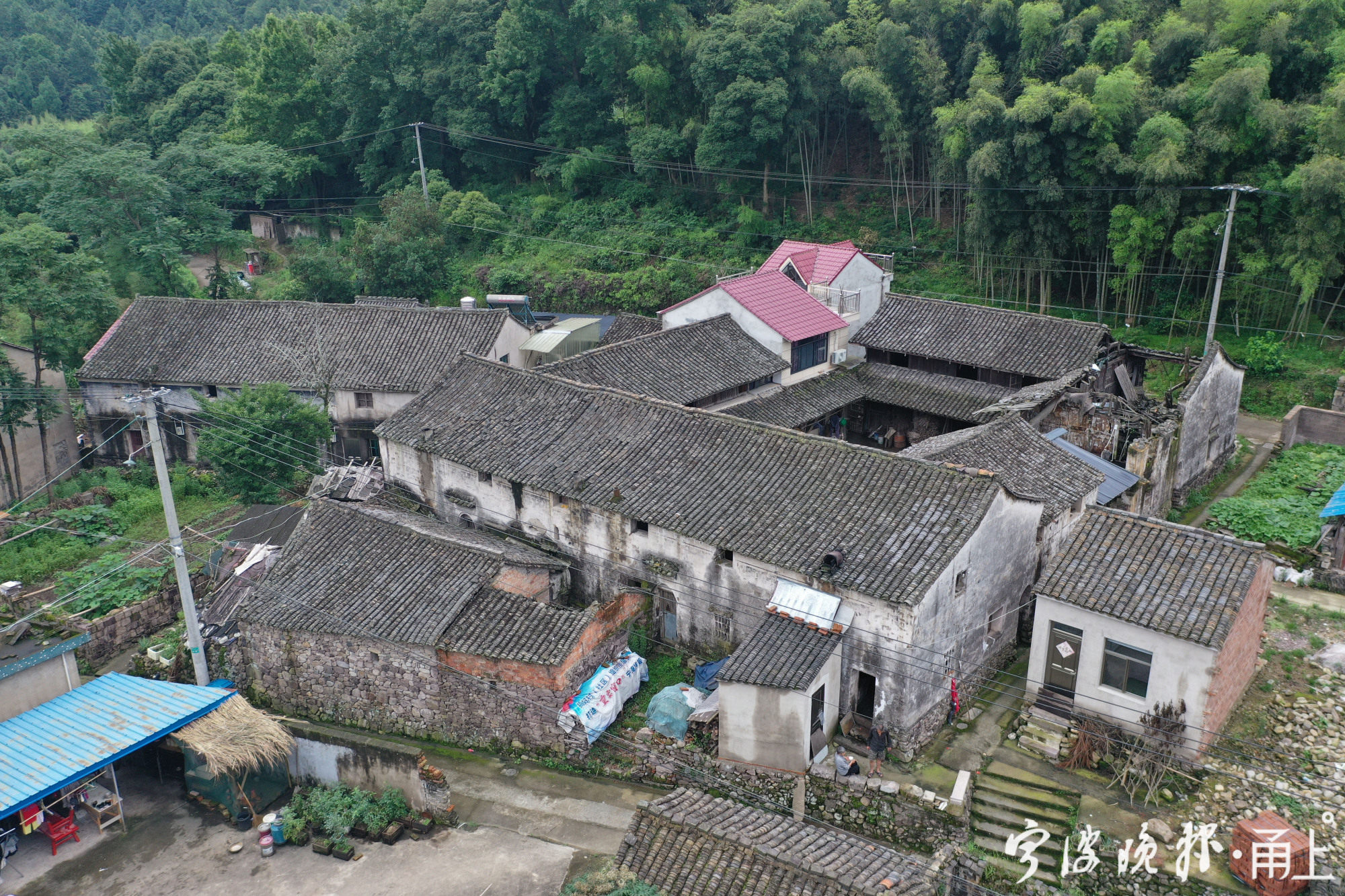 宁海前童这座古村,方孝孺曾在此读书讲学,其手植柏树如今仍郁郁葱葱