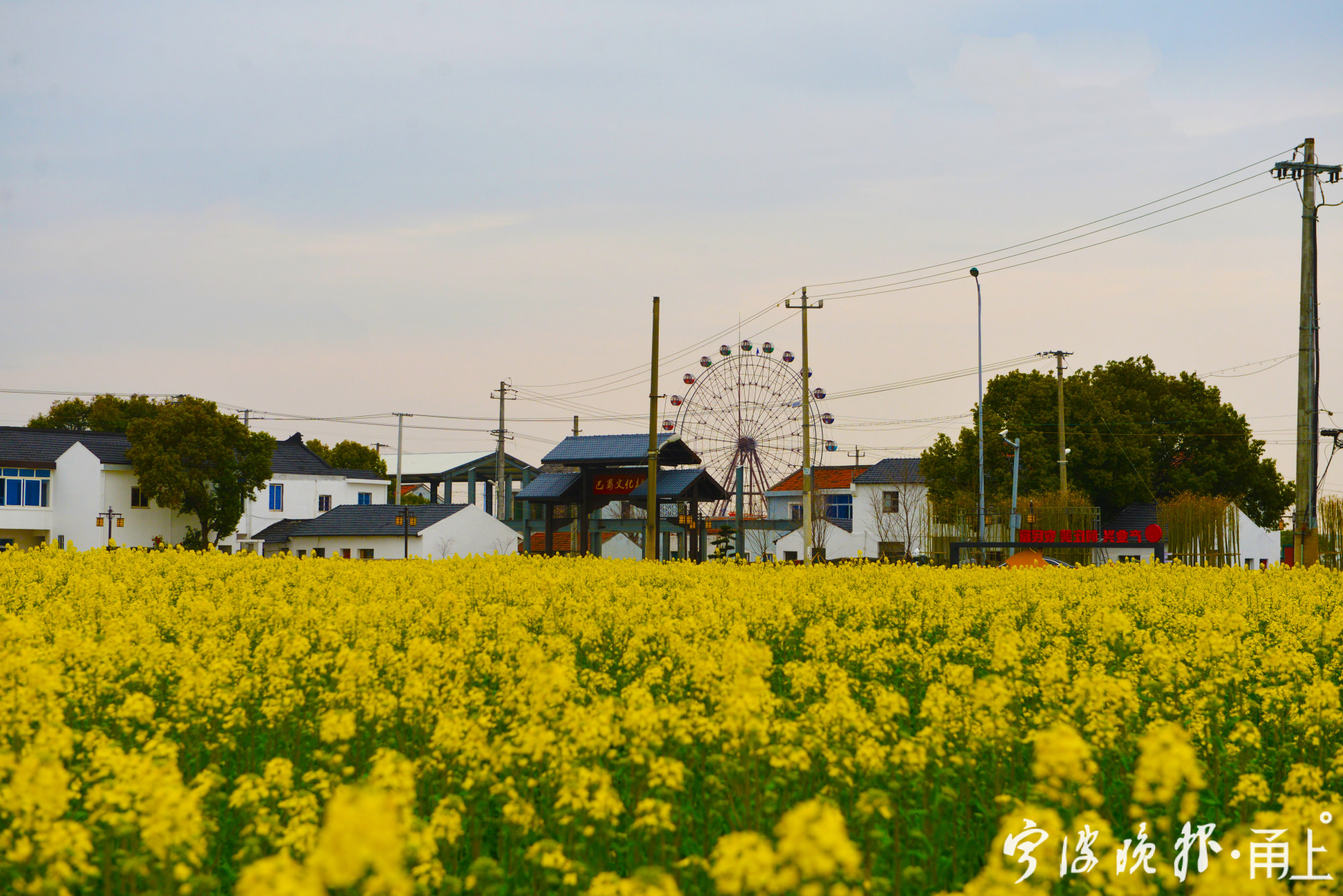 村固定资产由20万元跃到2780多万宁波这个村牛