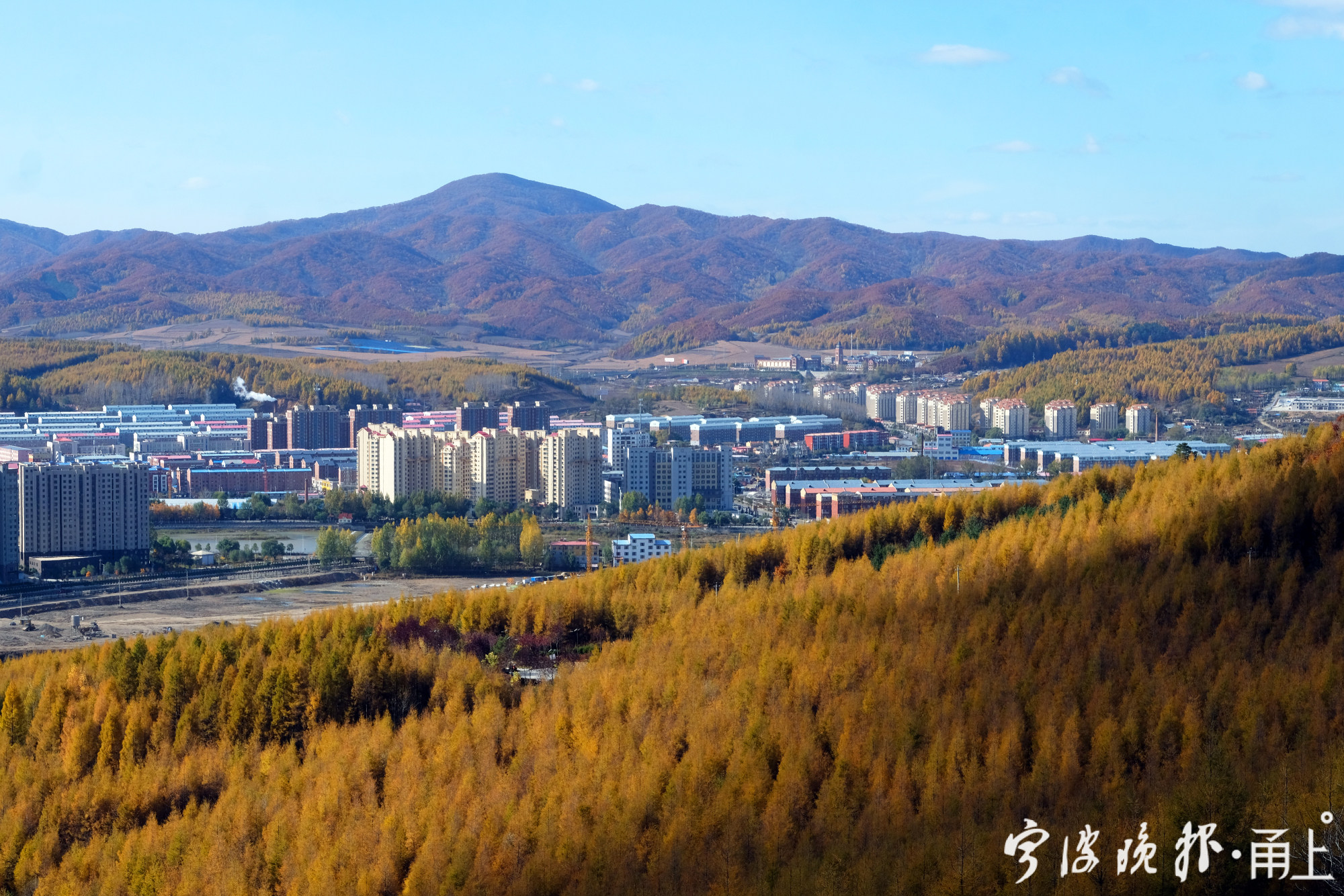 吉林汪清和北仑"结亲"的这几年,小作坊变成流水线,黄牛住进牛舍