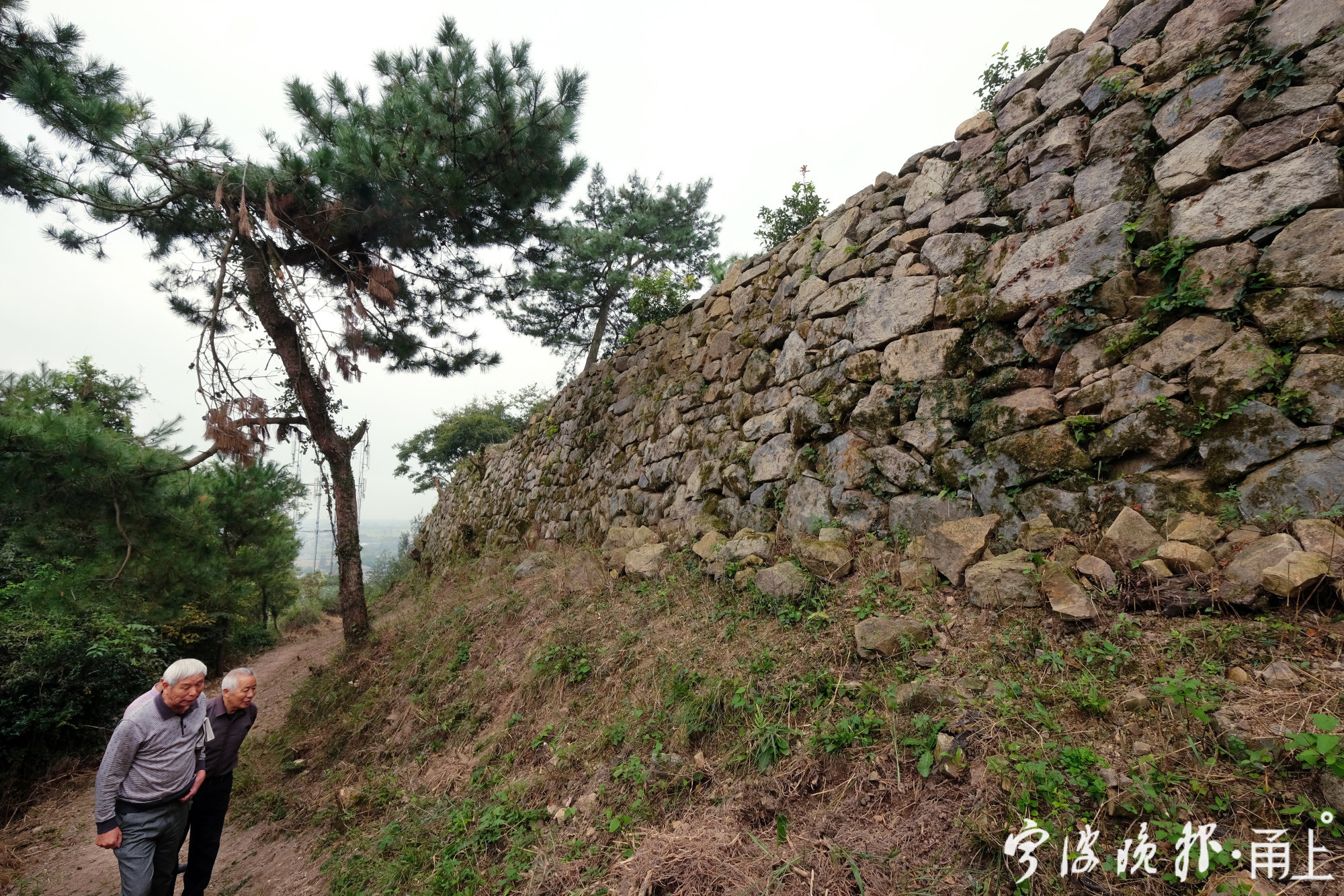 尘封半个多世纪,大嵩所城古城墙露真容