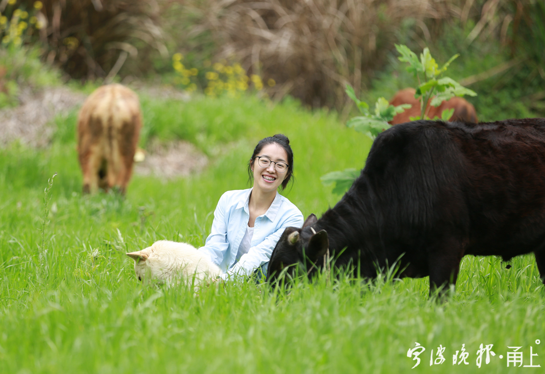 毕业放弃高薪工作回乡放牛,6年做到技术国内领先!