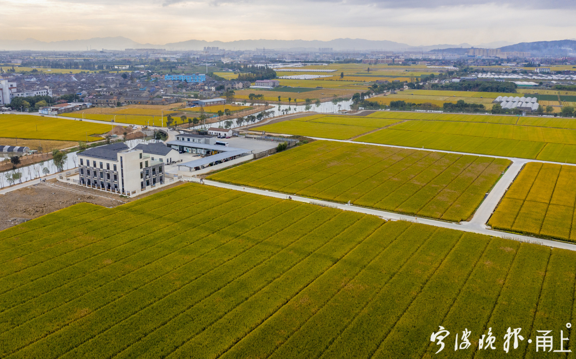 这里是国家首批,华东地区唯一的优质高效水稻大田种植数字农业技术