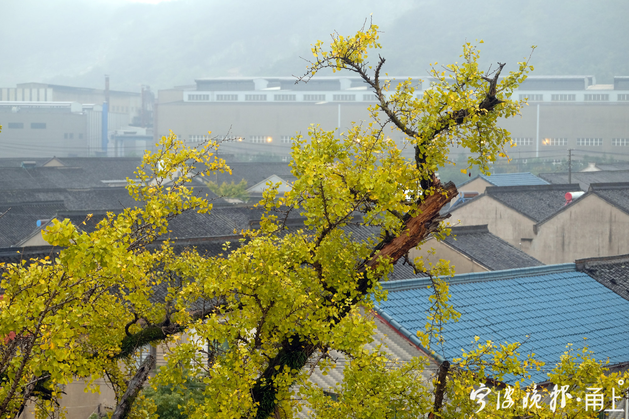 據傳,東吳鎮在南宋以前稱大白,系南宋宰相史浩故里.