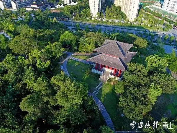 姜山镇狮山公园.webp.jpg