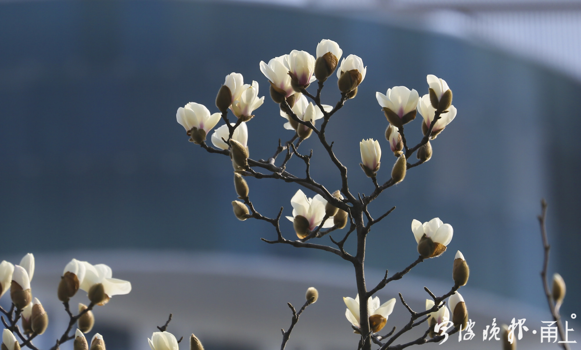 春天的气息来了