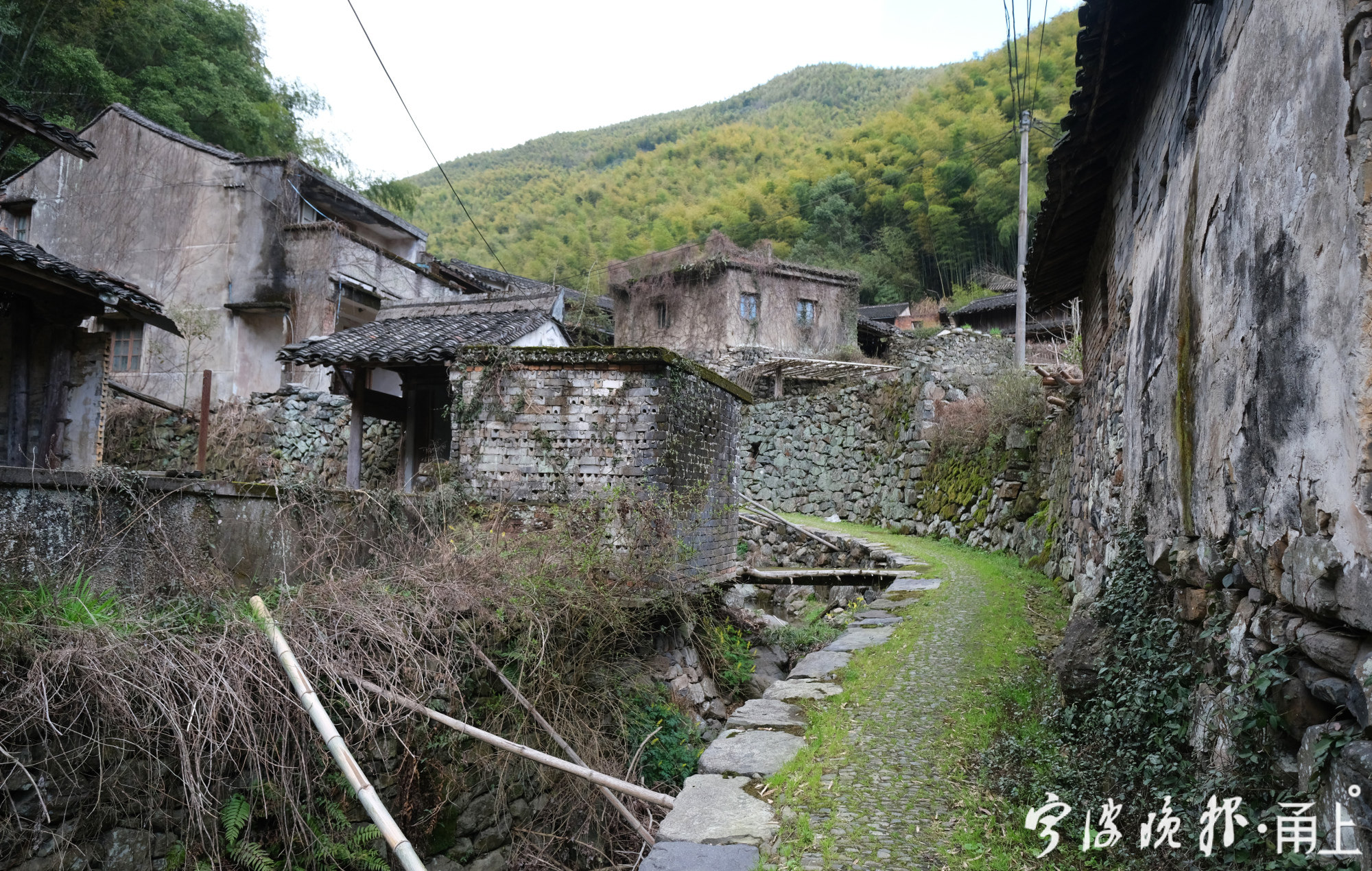 涓涓细流经邬姚,上山坑,下山坑,龙王堂,又有从俞山,金山流下的两股