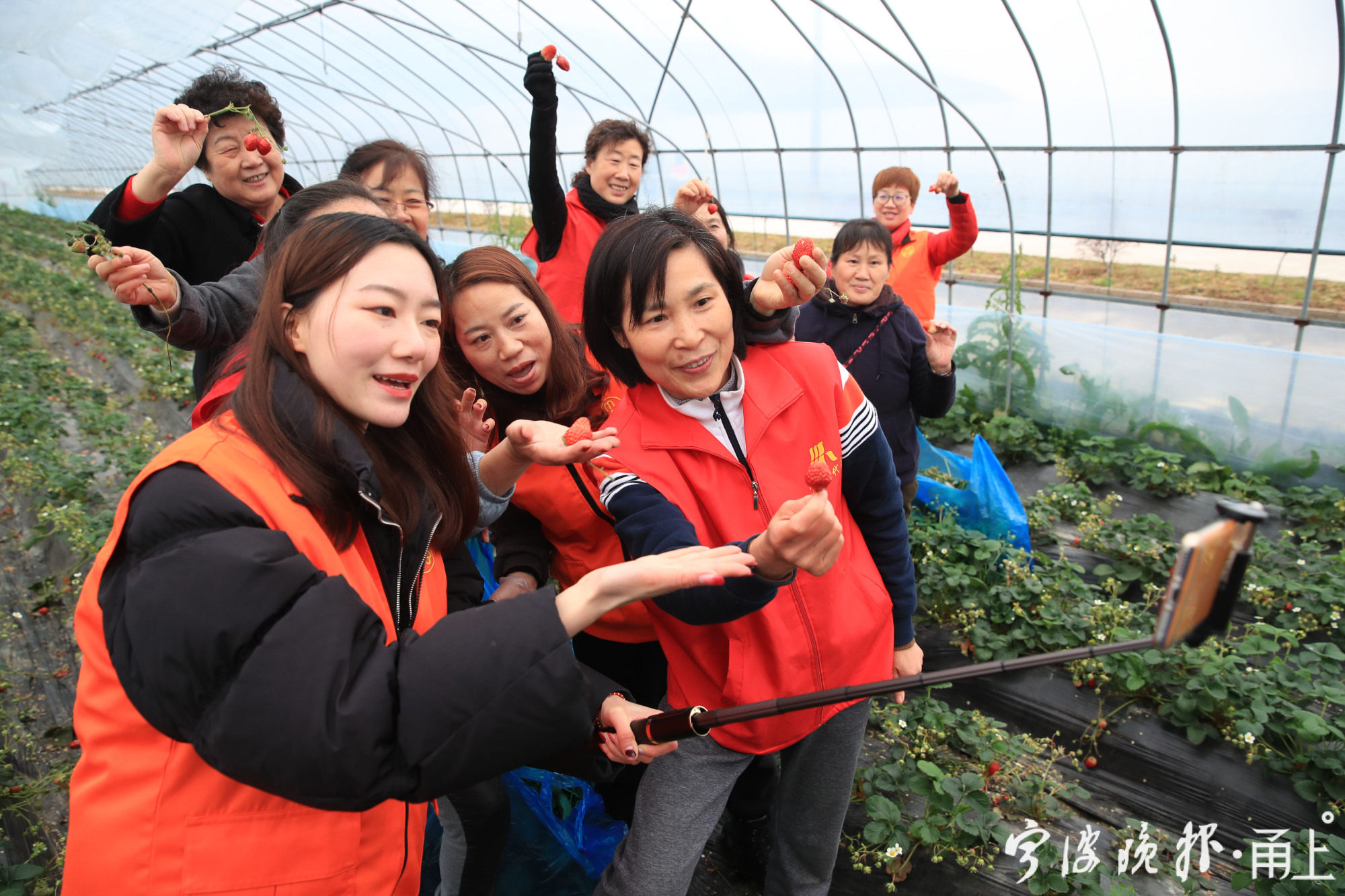 張亞芬(前排右一)和社區女同胞向更多的人推薦農場的草莓社區女同胞