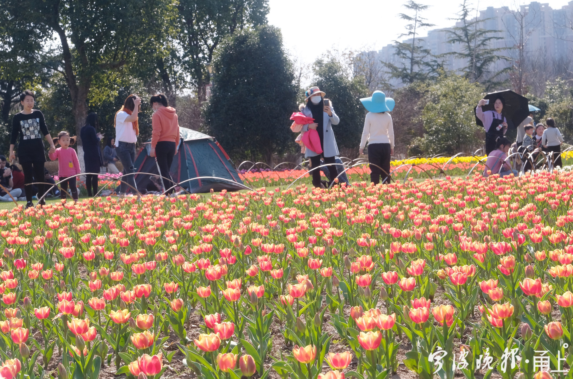 踏春4.jpg