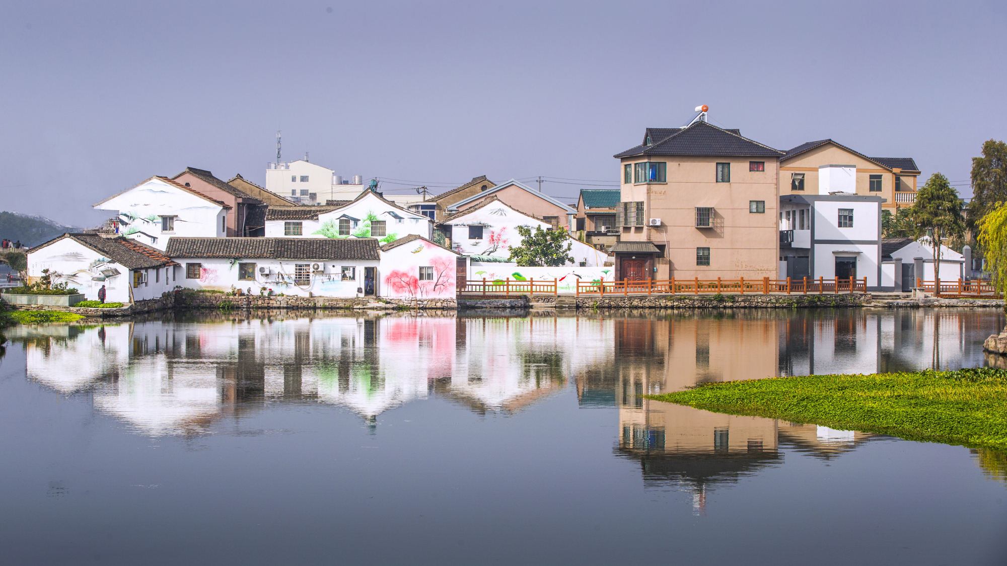2020年度宁波美丽水乡水美村庄名单出炉!有没有你熟悉的?