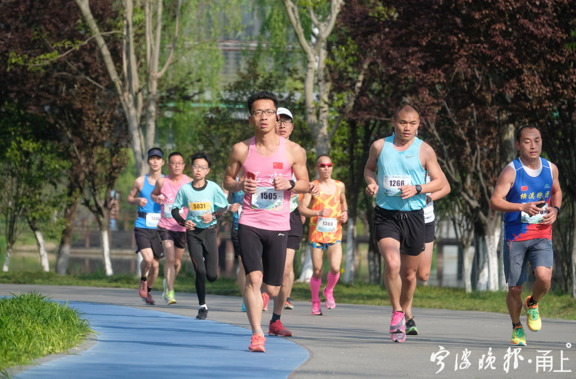 鄞州公园马拉松开跑,八百跑友绿荫花丛之中竞脚力