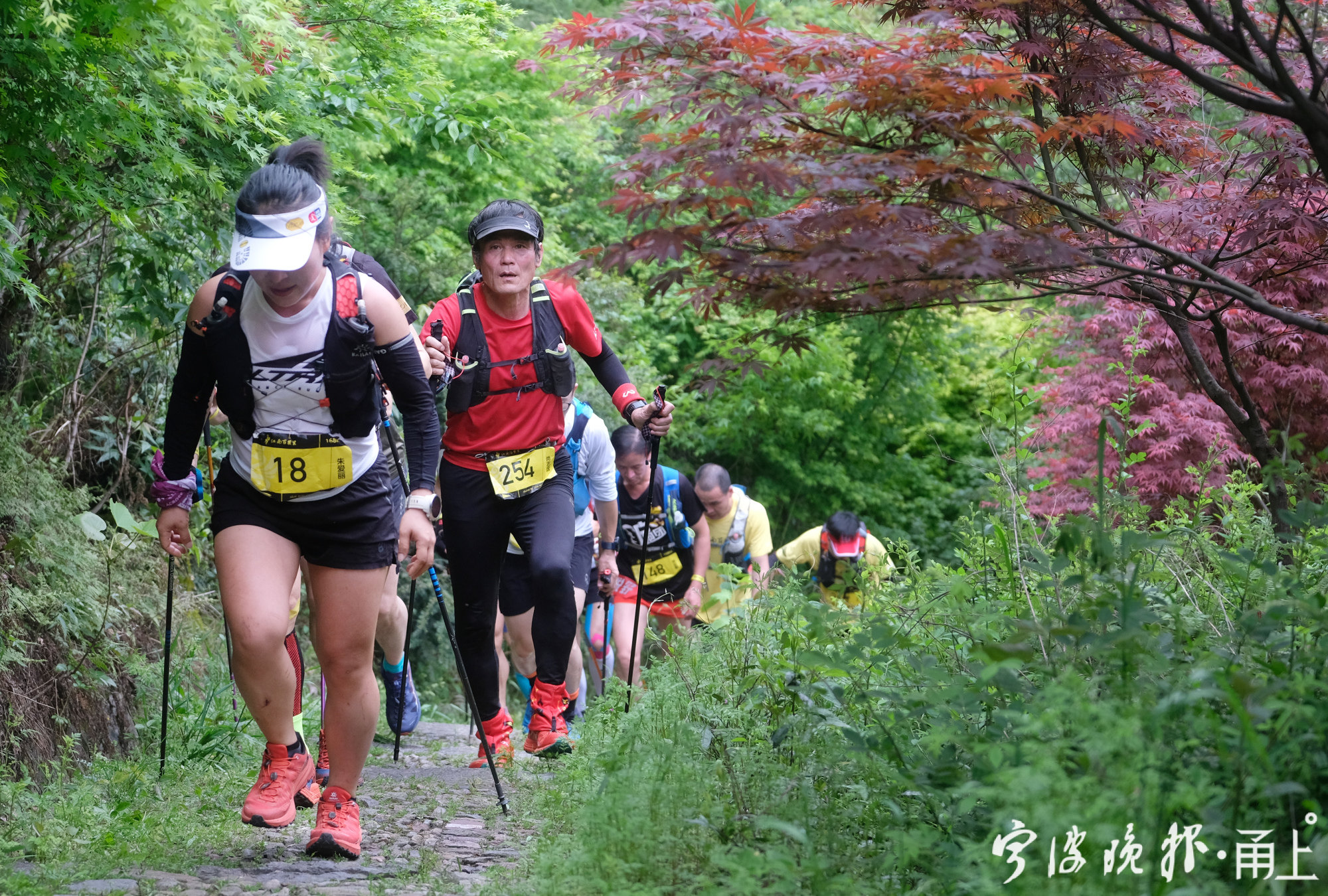 连续奔跑上百公里山道,"江南百英里"雪窦山越野赛选手是些什么样的"