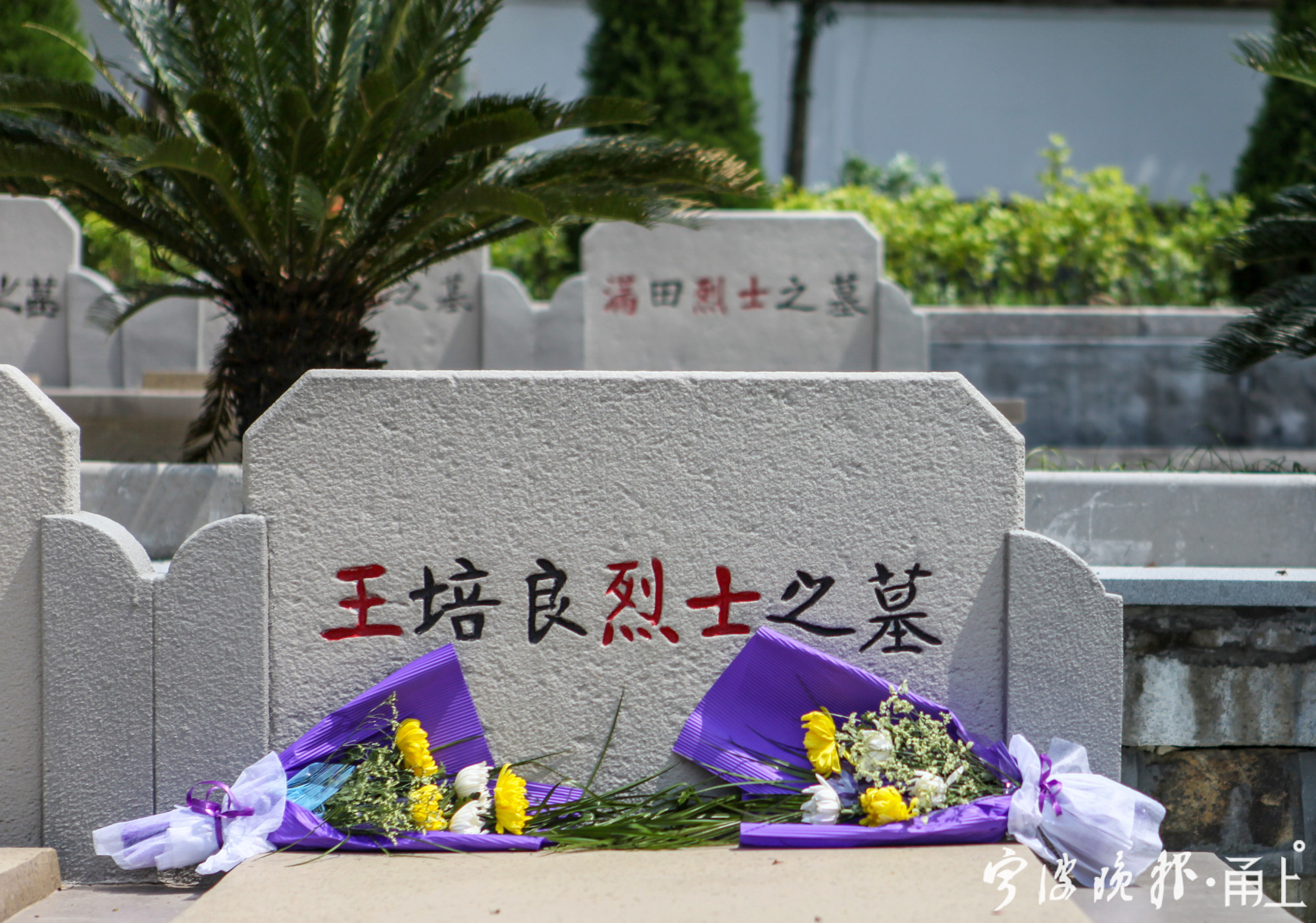 如今,王三川烈士长眠于余姚胜归山烈士陵园,王培良是其生前化名王海波