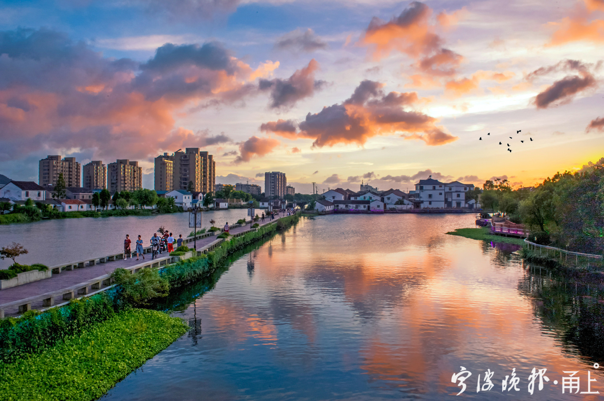 "镜头定格看担当,乡村振兴我先行"摄影大赛获奖作品选登 - 甬上·宁波