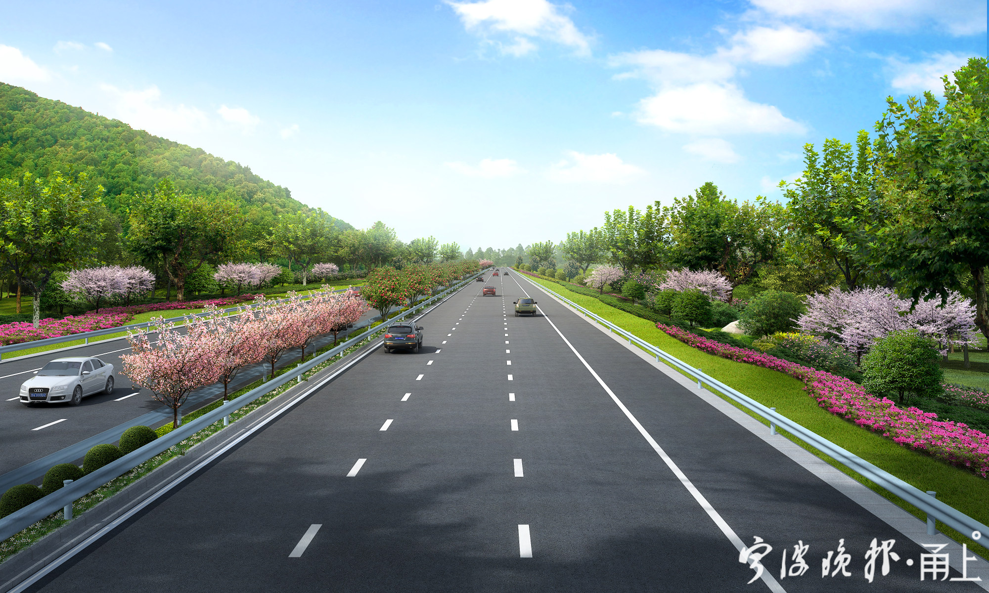 s203奉化段标准横断面.jpg
