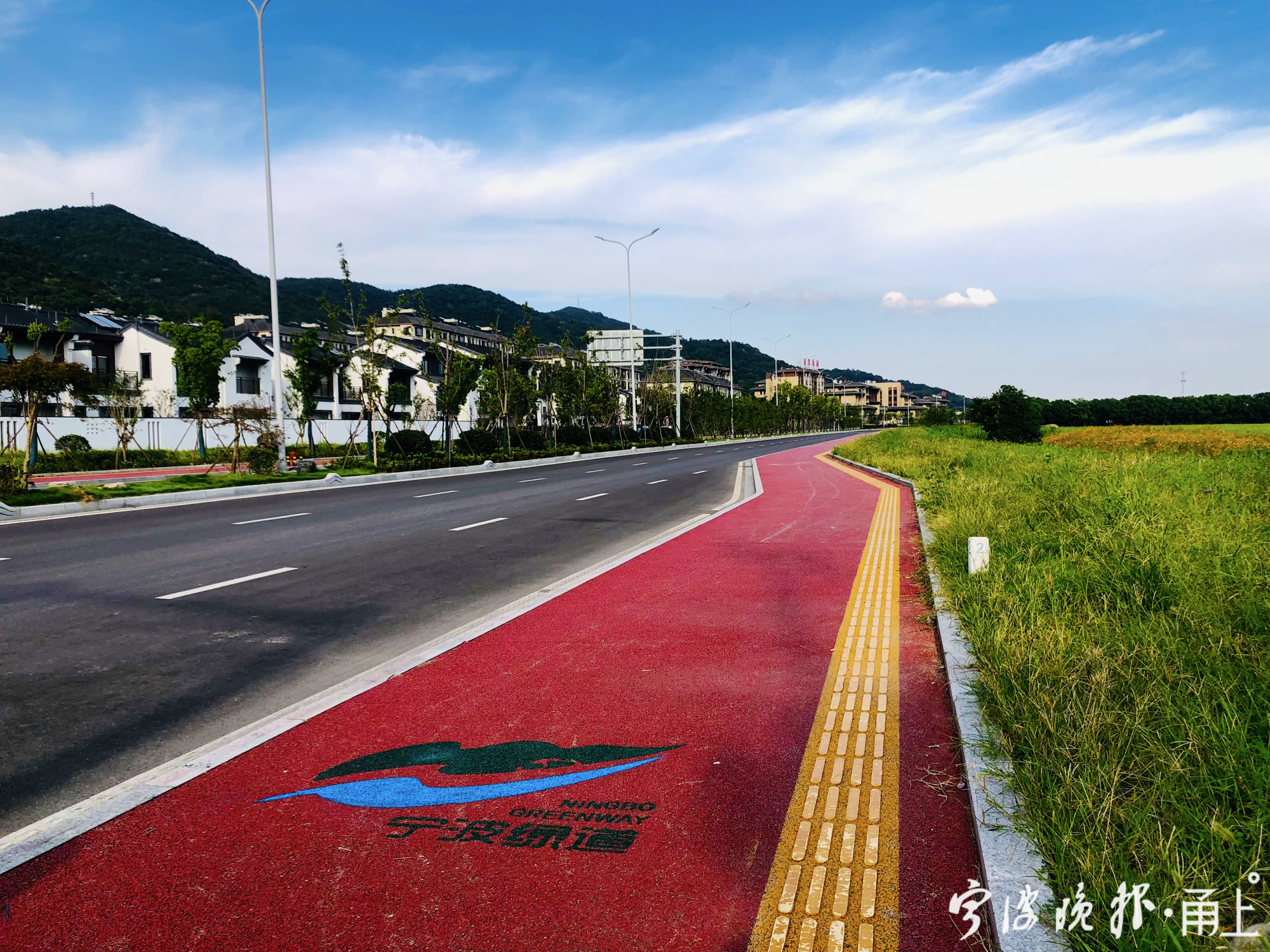 宁波这5条最美绿道出炉有你去过的吗