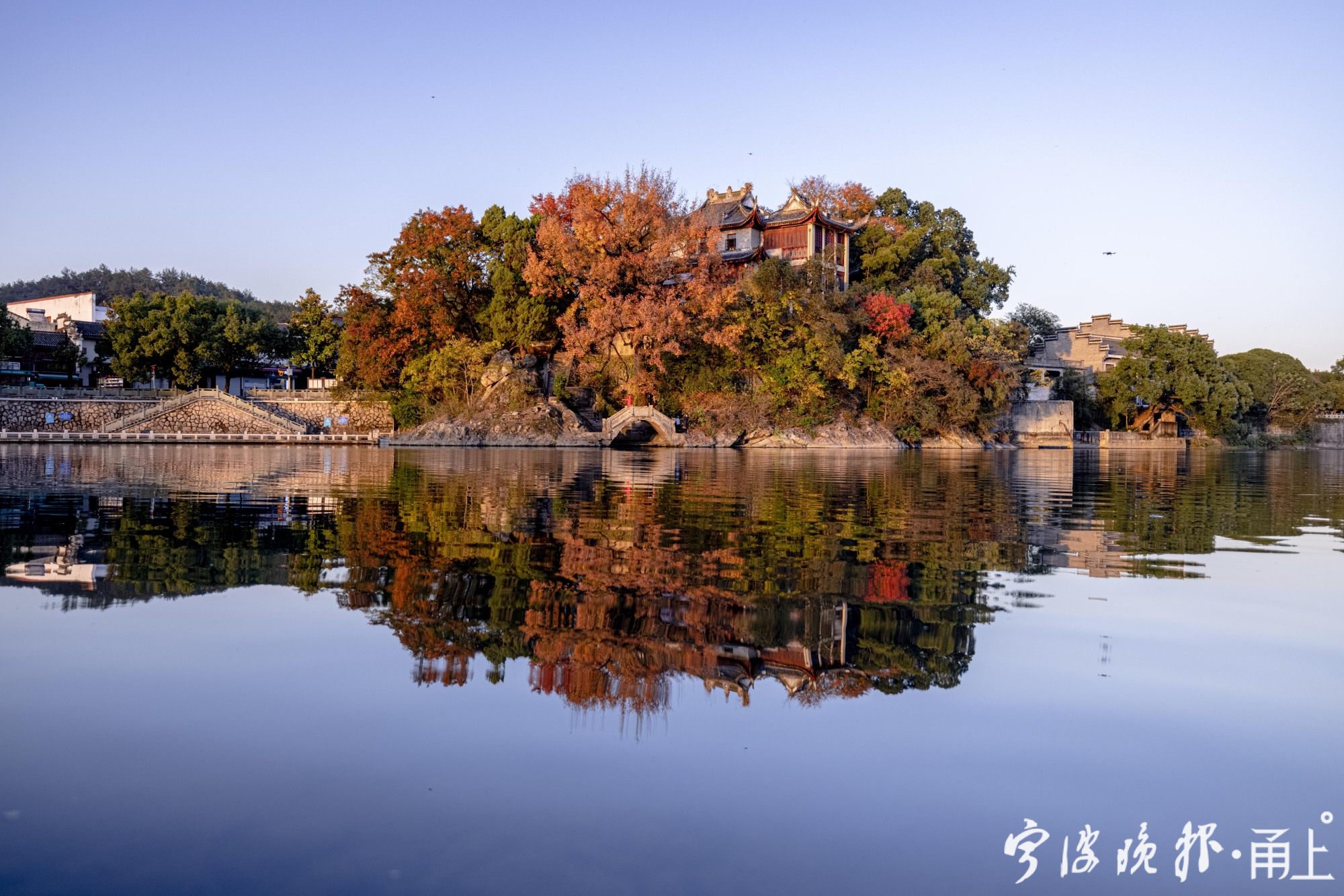 奉化剡溪边的百年枫香变身"彩色油画" - 宁波都市传媒网