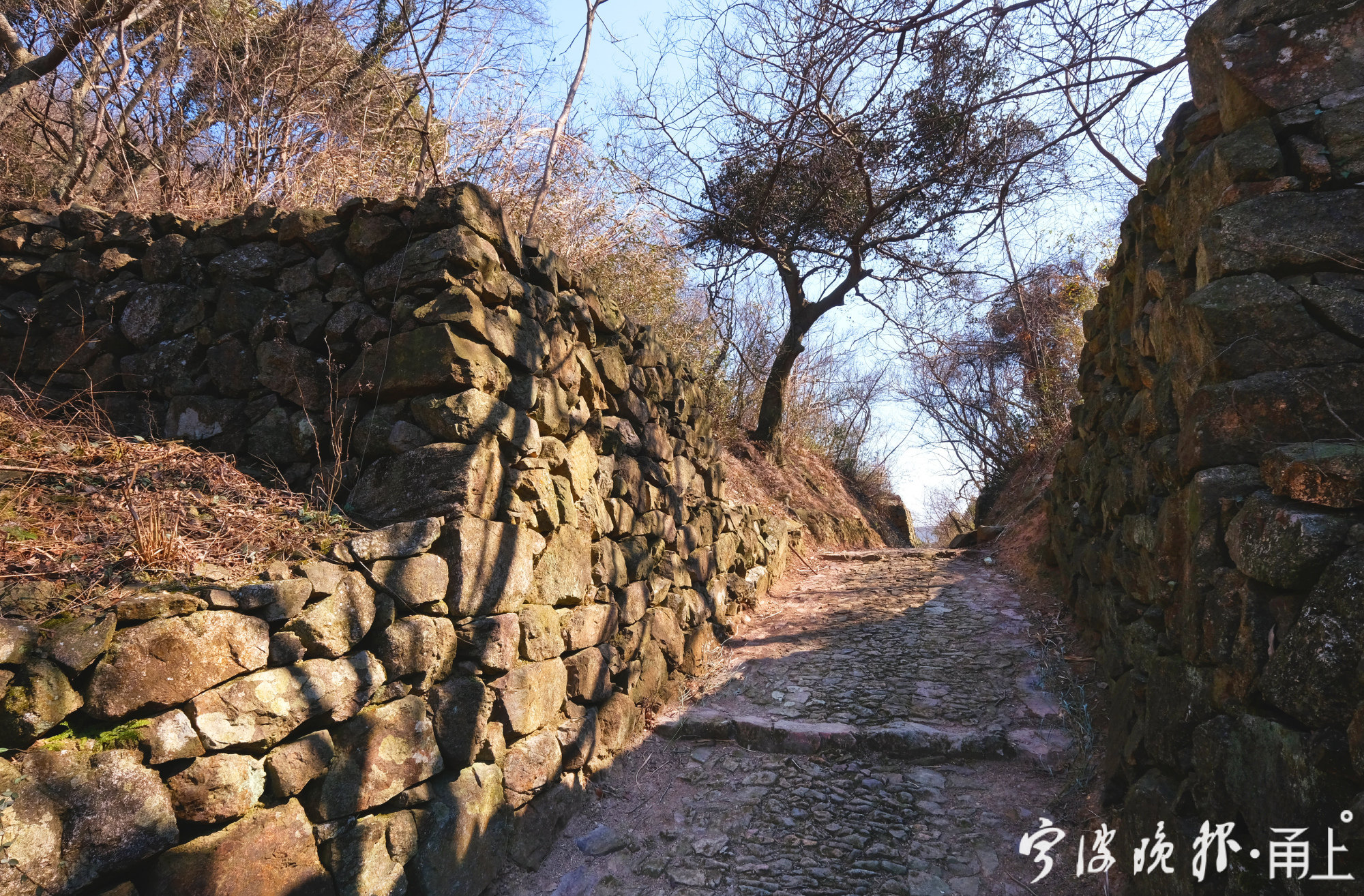 畫龍村東邊與瞻岐鎮方橋村的狹石嶺為界,南依福泉