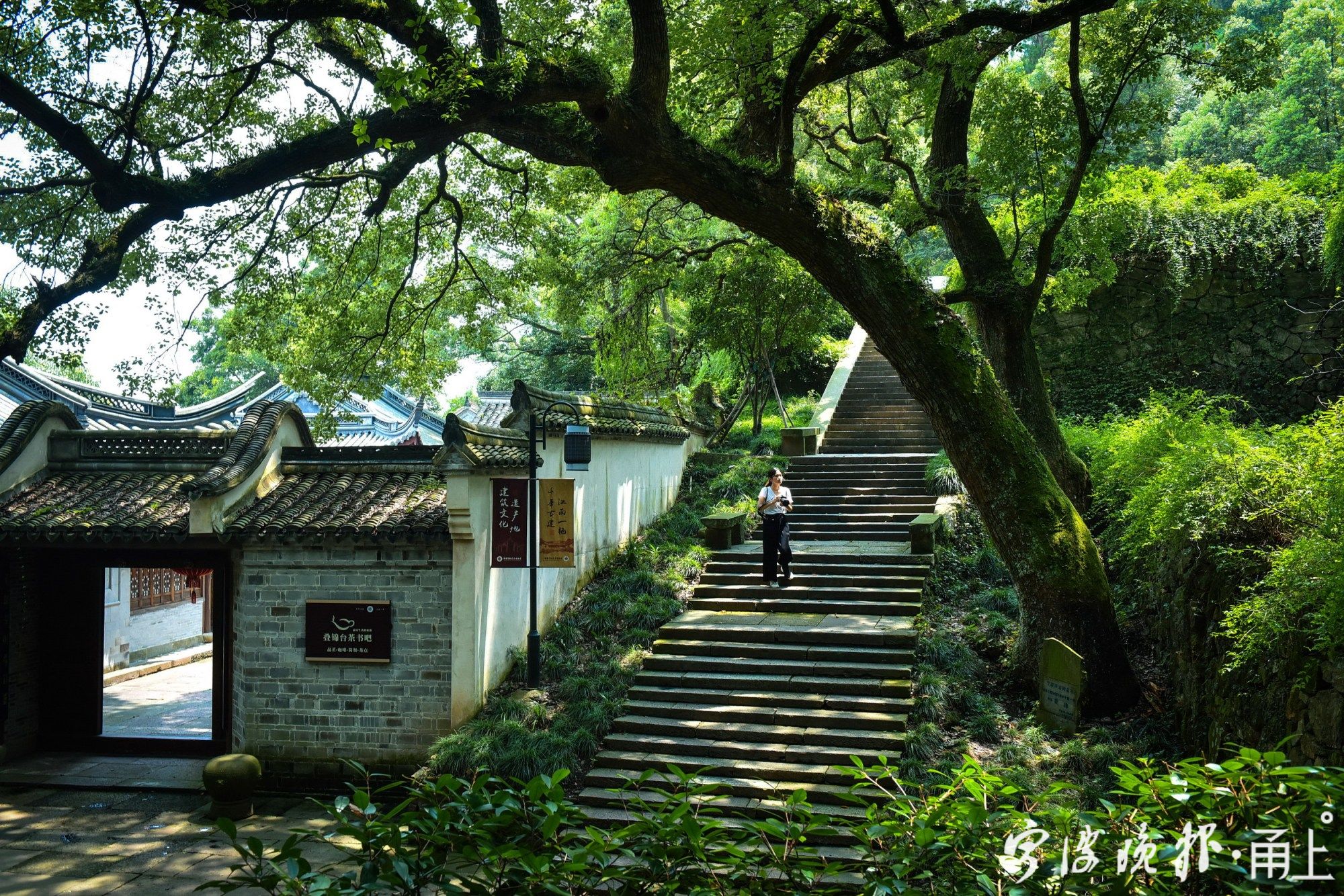保国寺森林氧吧上榜2021年度"浙江森林氧吧" - 甬上·宁波晚报 - 宁波