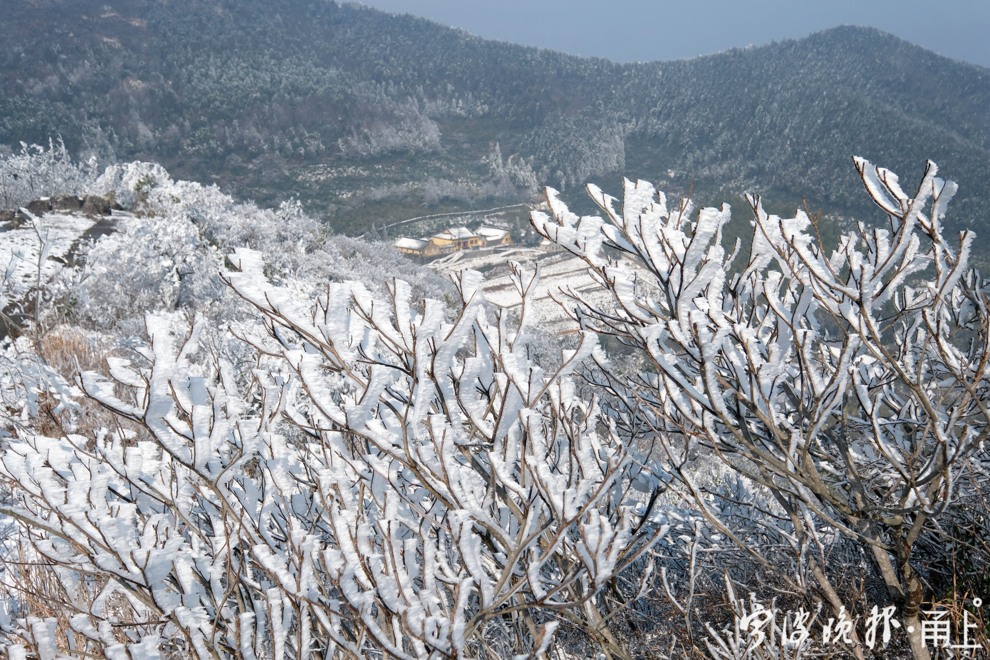 金峨山顶现冰雪奇观 - 甬上·宁波晚报 - 宁波都市传媒网