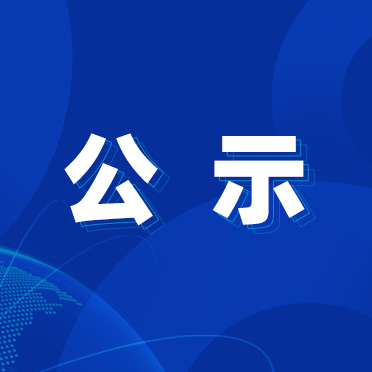 公示 公示